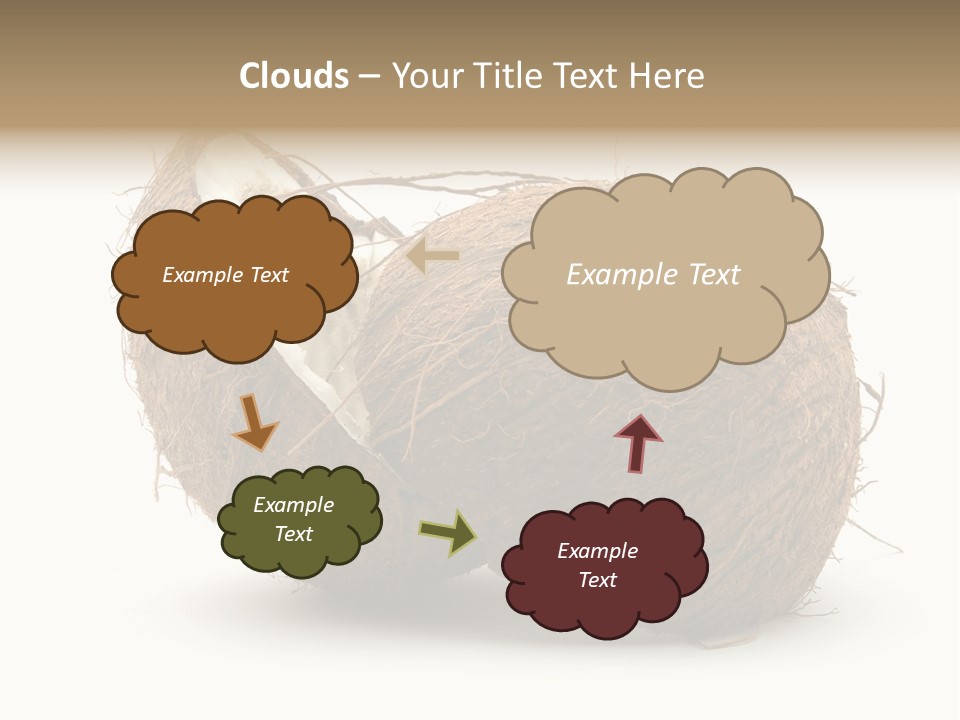 Coconut Palm Nut PowerPoint Template
