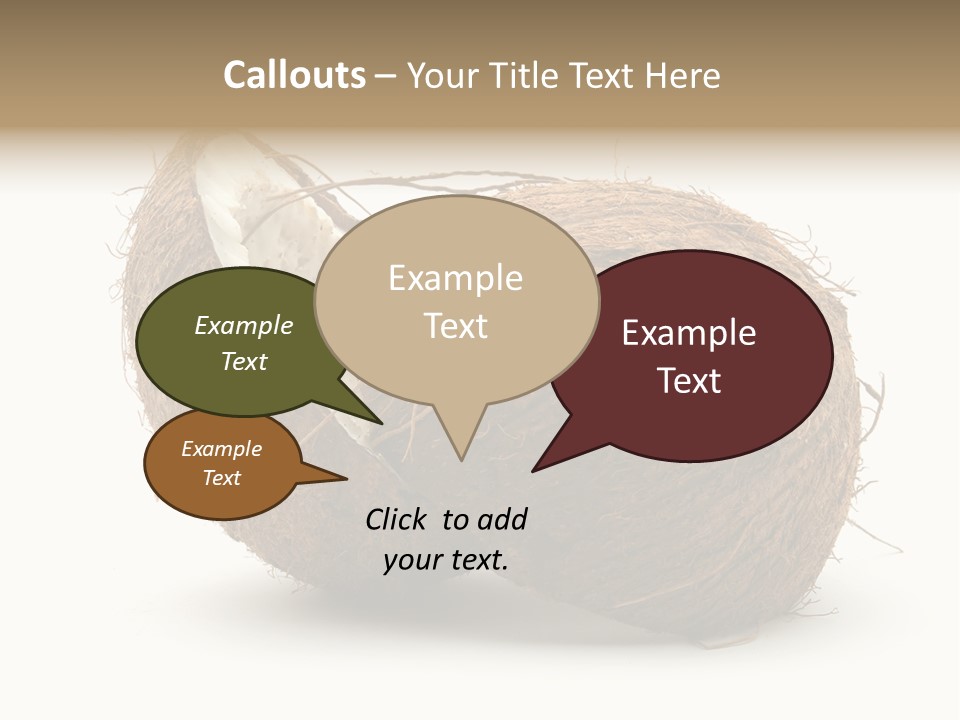 Coconut Palm Nut PowerPoint Template