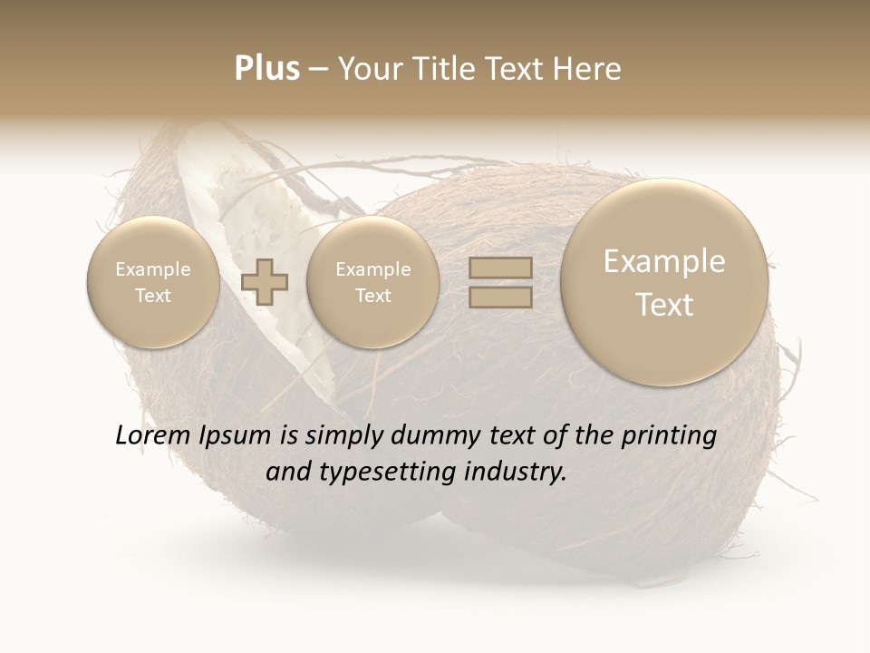 Coconut Palm Nut PowerPoint Template
