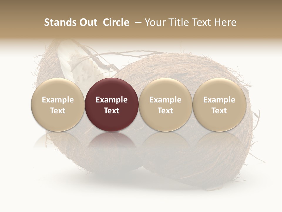 Coconut Palm Nut PowerPoint Template