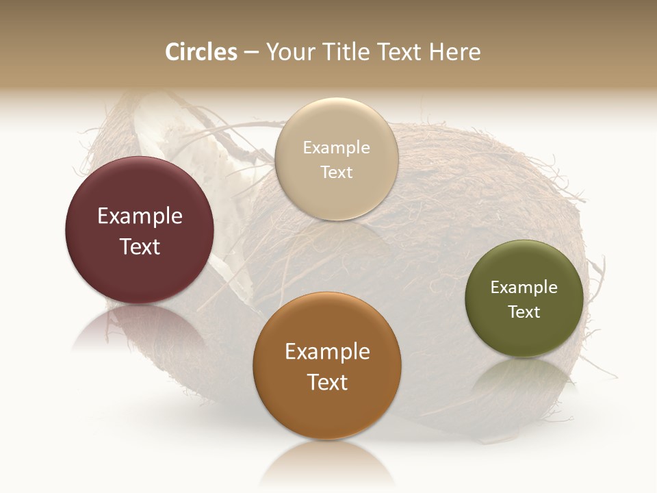 Coconut Palm Nut PowerPoint Template
