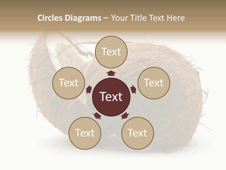 Coconut Palm Nut PowerPoint Template