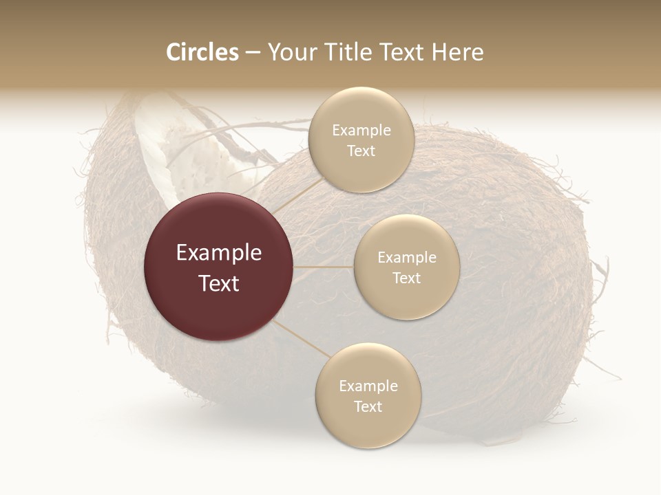 Coconut Palm Nut PowerPoint Template