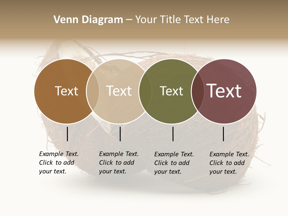 Coconut Palm Nut PowerPoint Template