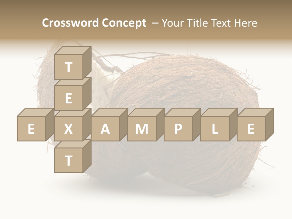 Coconut Palm Nut PowerPoint Template
