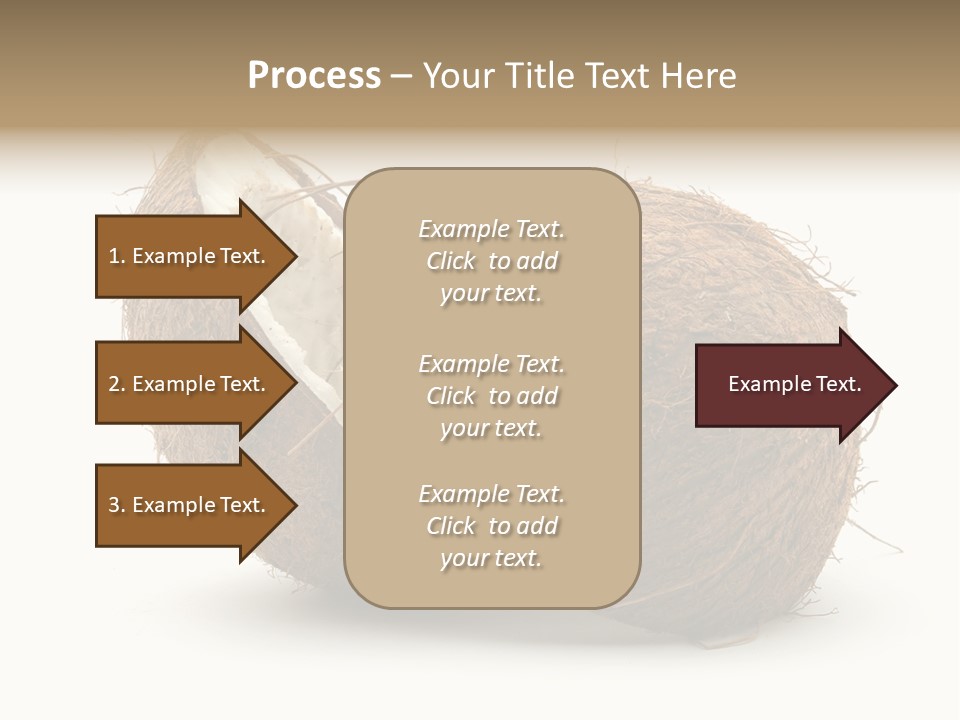 Coconut Palm Nut PowerPoint Template