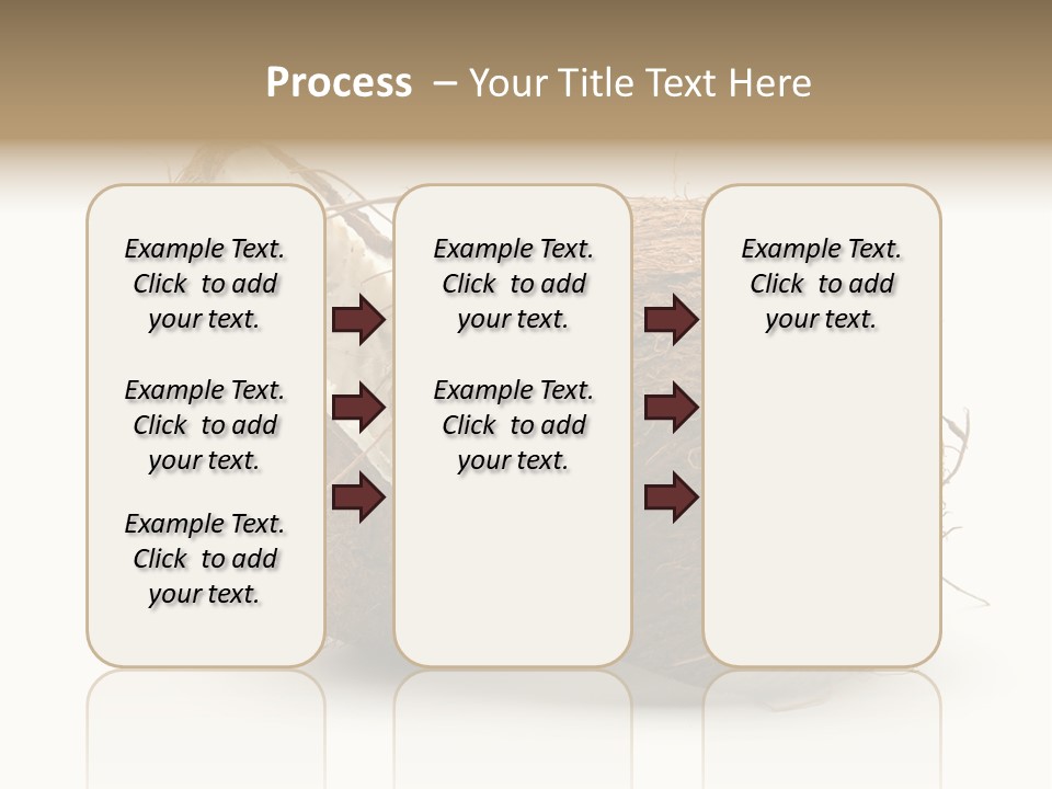 Coconut Palm Nut PowerPoint Template
