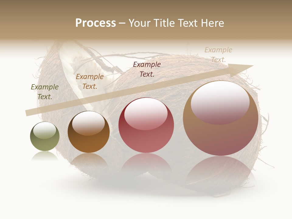 Coconut Palm Nut PowerPoint Template