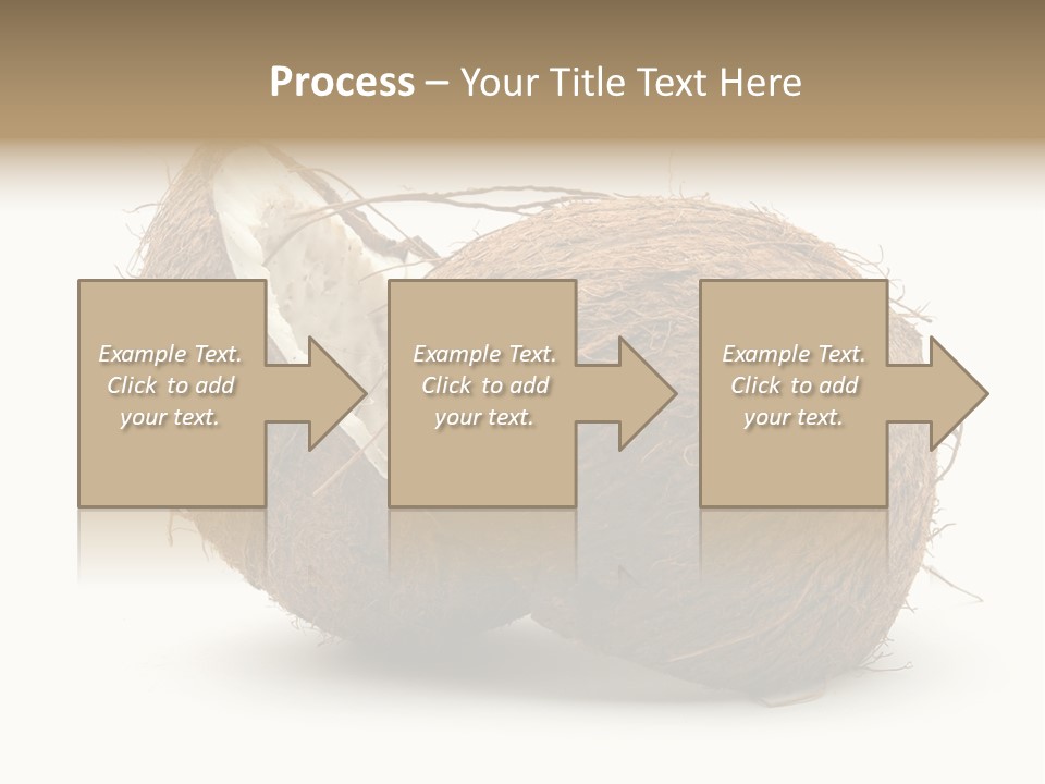 Coconut Palm Nut PowerPoint Template