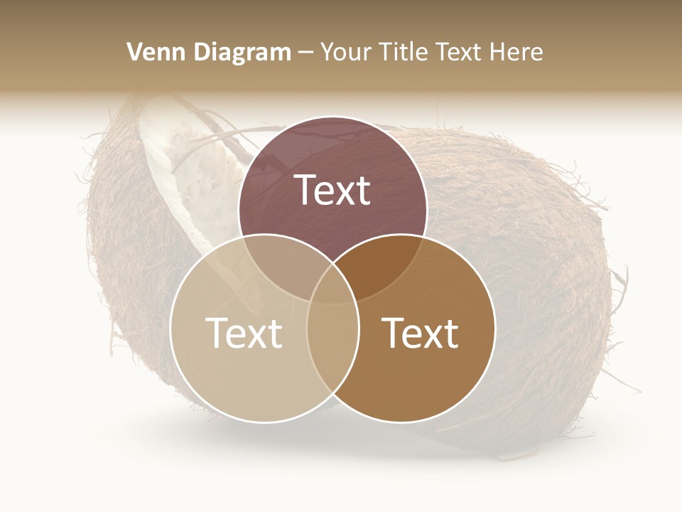 Coconut Palm Nut PowerPoint Template