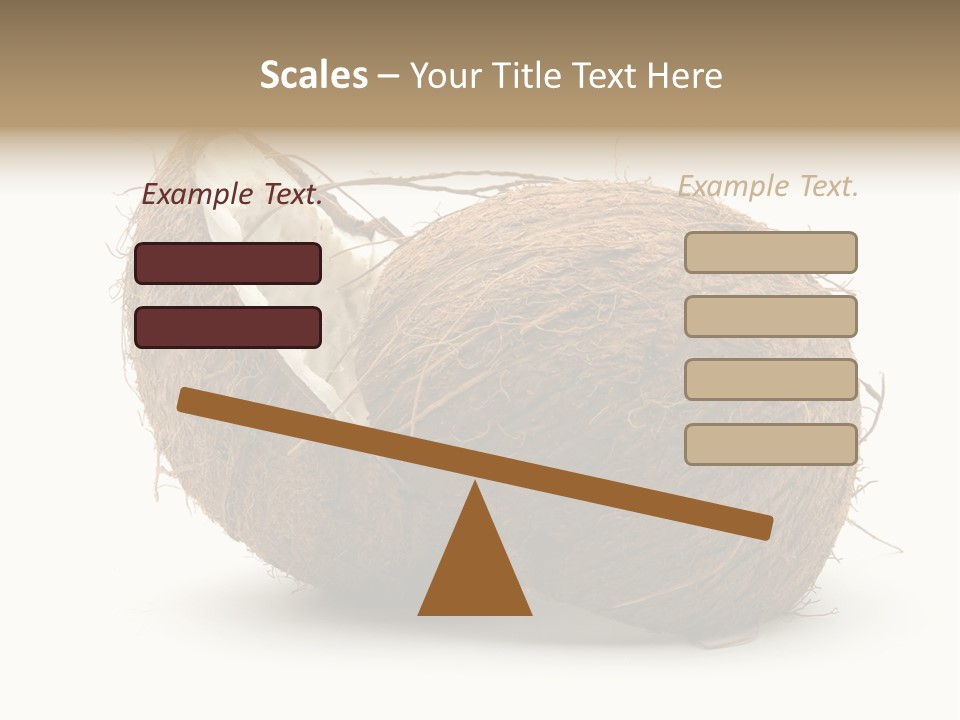 Coconut Palm Nut PowerPoint Template