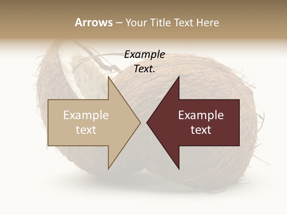 Coconut Palm Nut PowerPoint Template