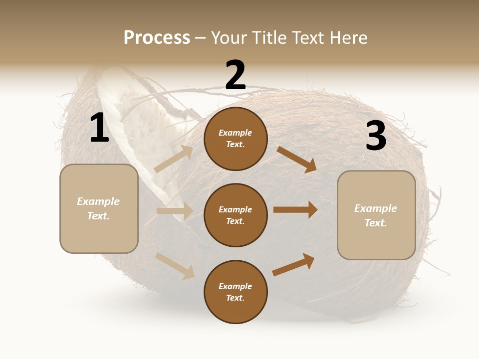 Coconut Palm Nut PowerPoint Template