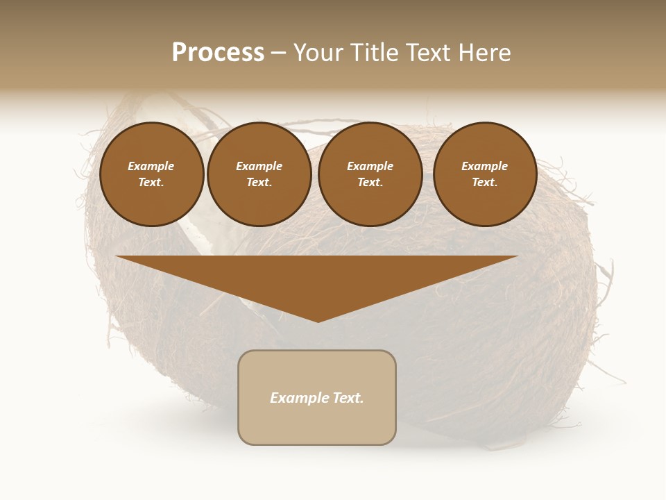 Coconut Palm Nut PowerPoint Template