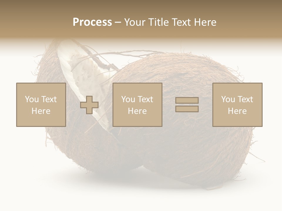 Coconut Palm Nut PowerPoint Template