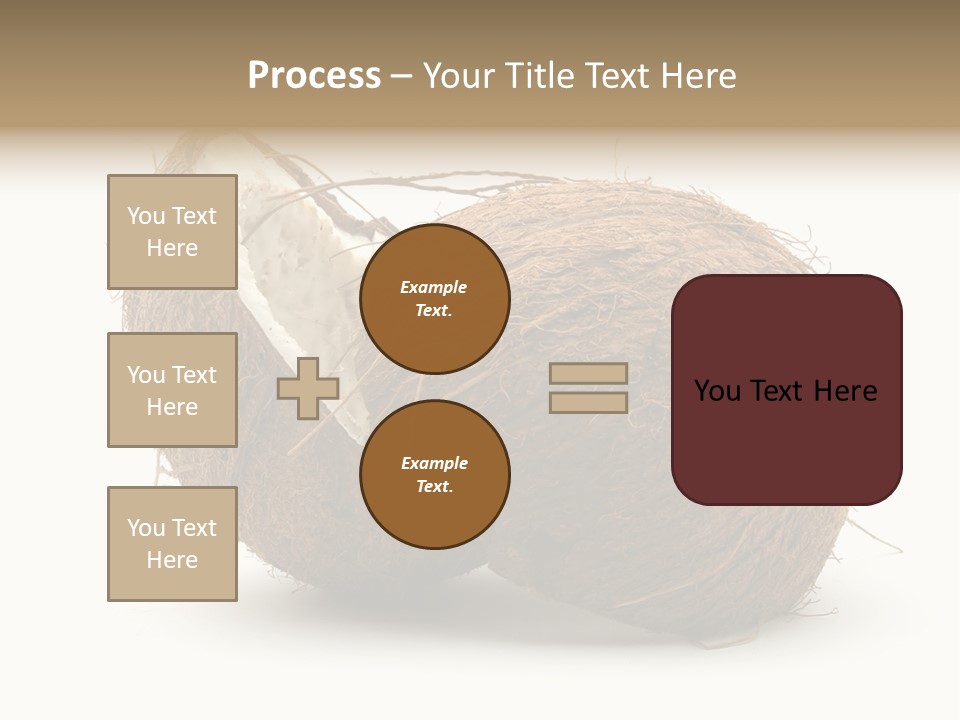 Coconut Palm Nut PowerPoint Template