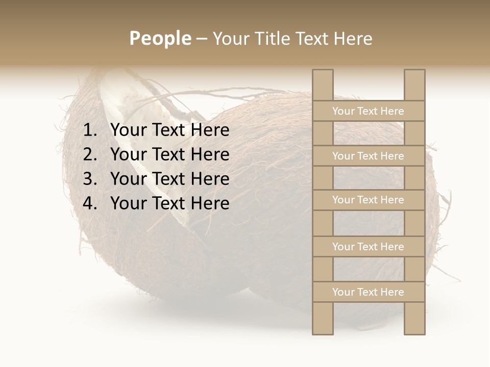 Coconut Palm Nut PowerPoint Template