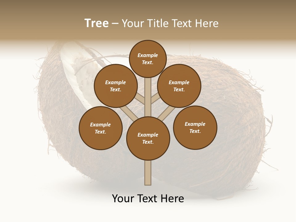 Coconut Palm Nut PowerPoint Template