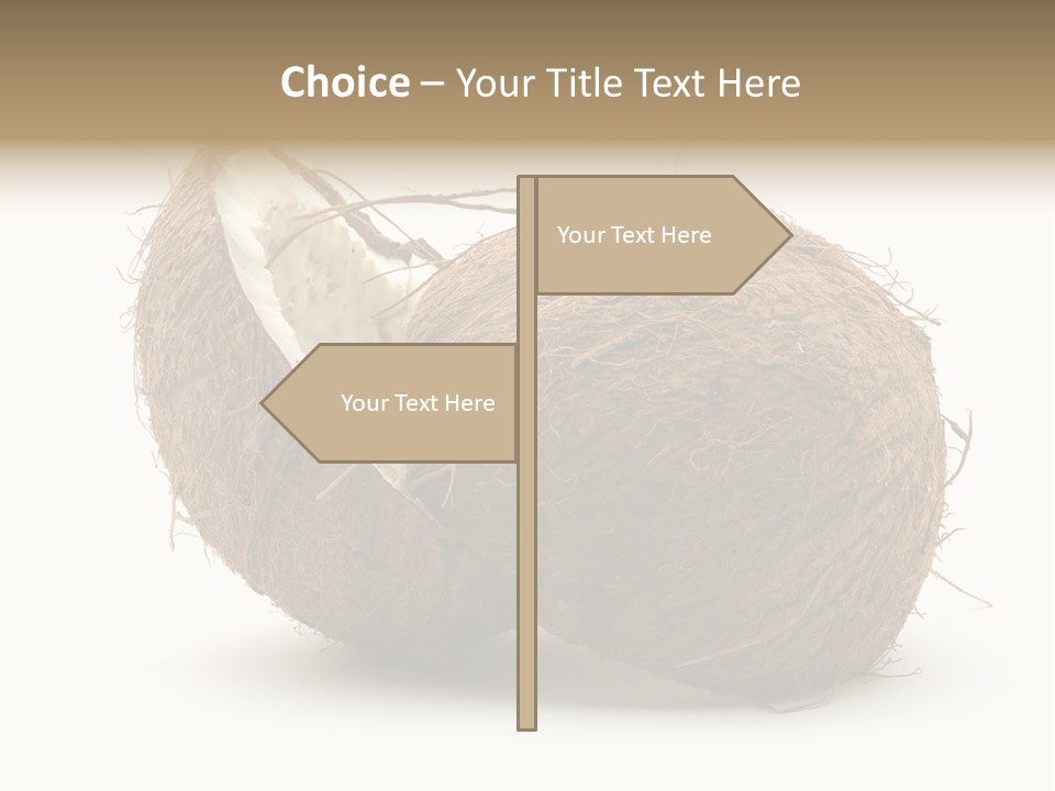 Coconut Palm Nut PowerPoint Template
