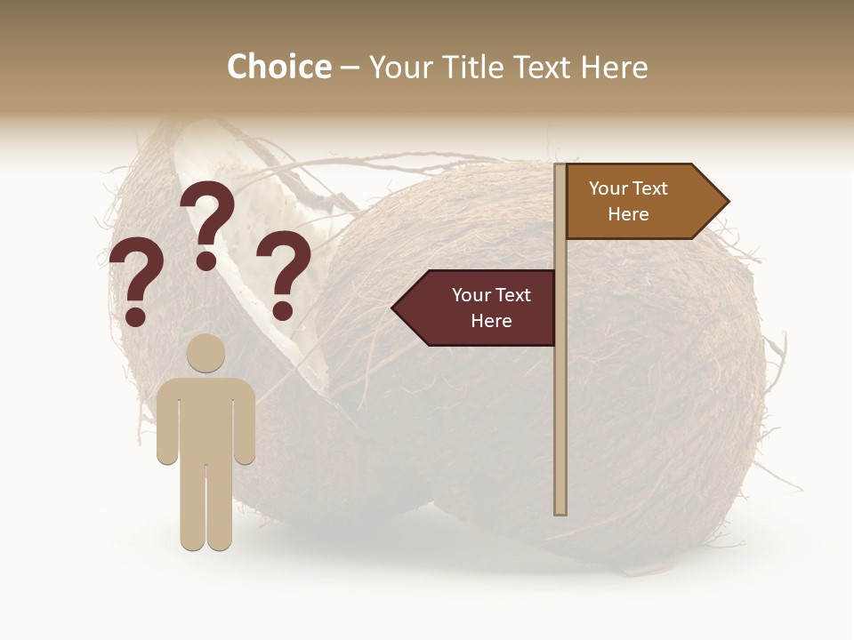Coconut Palm Nut PowerPoint Template