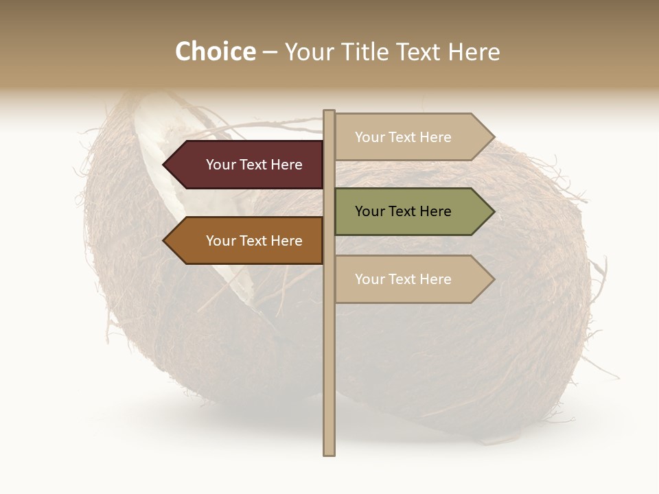 Coconut Palm Nut PowerPoint Template