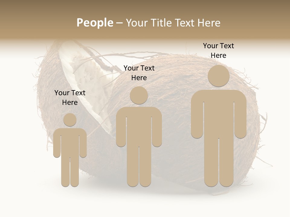 Coconut Palm Nut PowerPoint Template