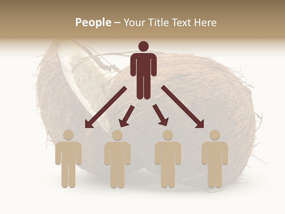 Coconut Palm Nut PowerPoint Template