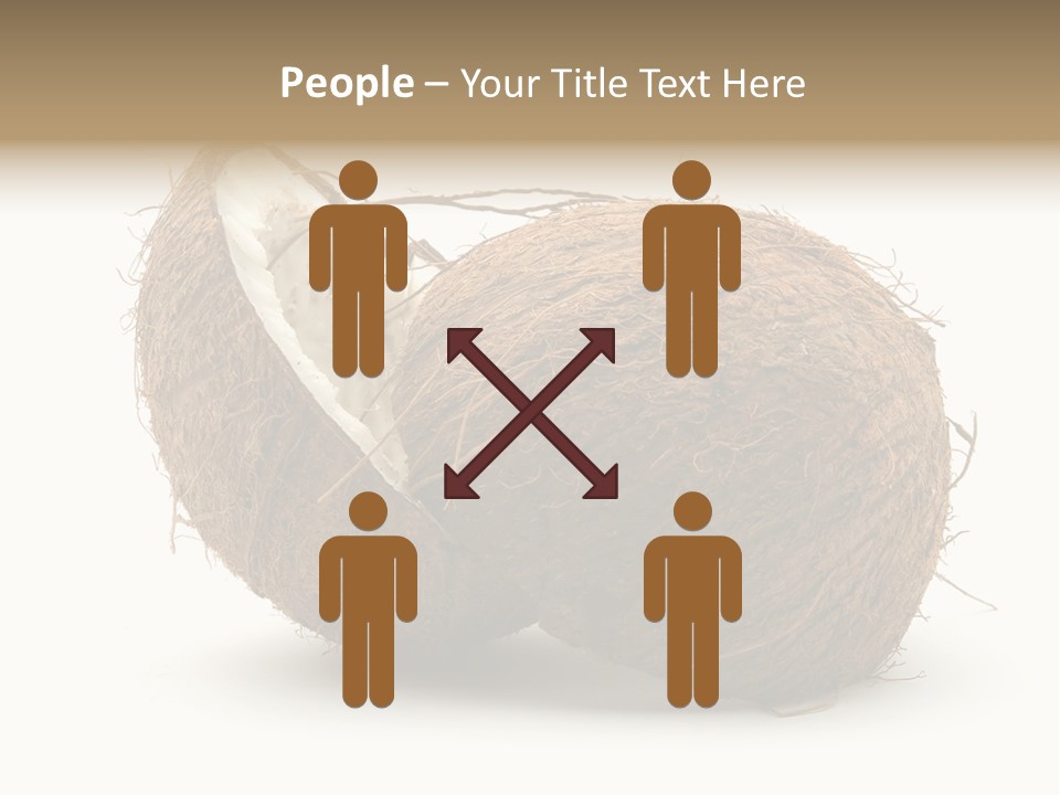 Coconut Palm Nut PowerPoint Template