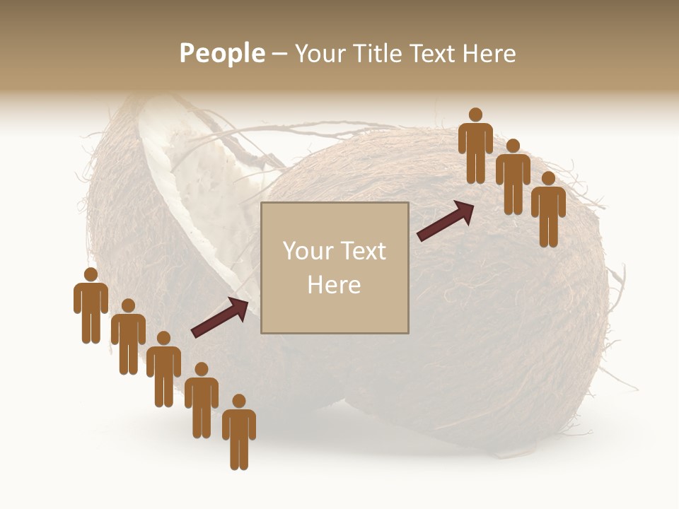 Coconut Palm Nut PowerPoint Template