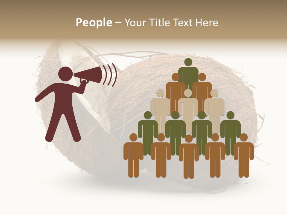 Coconut Palm Nut PowerPoint Template