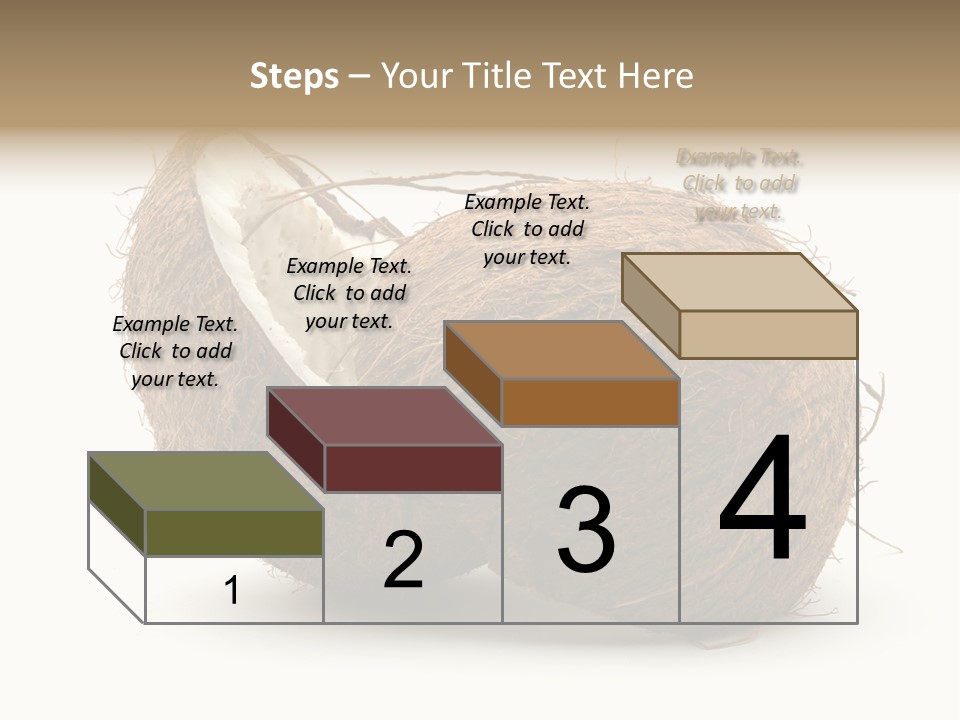 Coconut Palm Nut PowerPoint Template