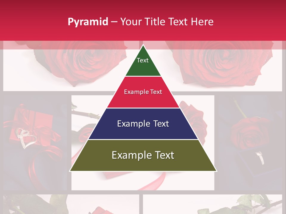 Rosa Bocciolo Gambo PowerPoint Template