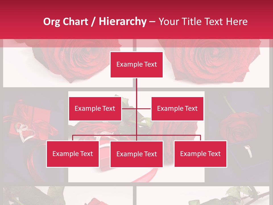 Rosa Bocciolo Gambo PowerPoint Template