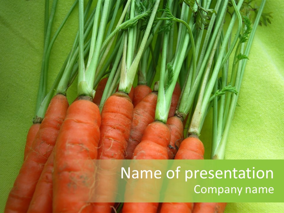 Orange Garden Vegetable PowerPoint Template