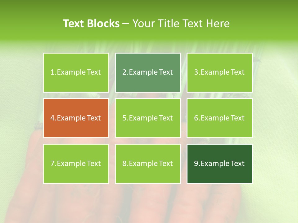 Orange Garden Vegetable PowerPoint Template