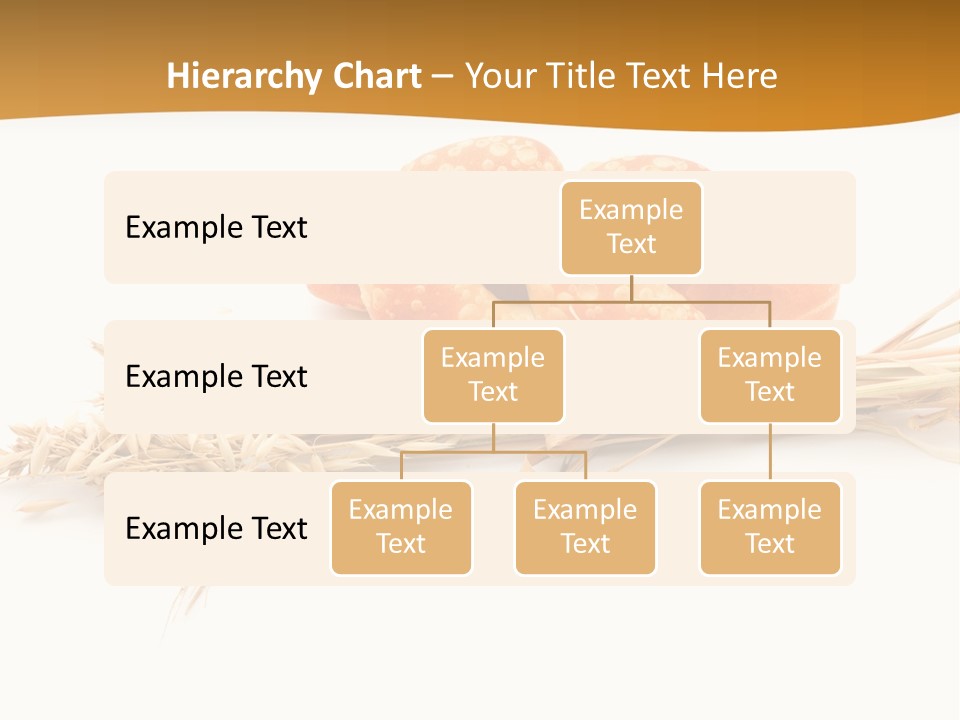 Bun Breakfast Wheat PowerPoint Template