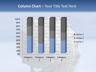 Background Backdrop Copy Space PowerPoint Template