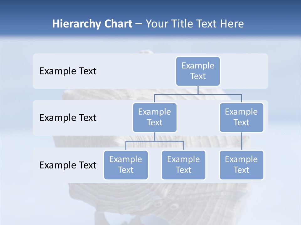 Background Backdrop Copy Space PowerPoint Template
