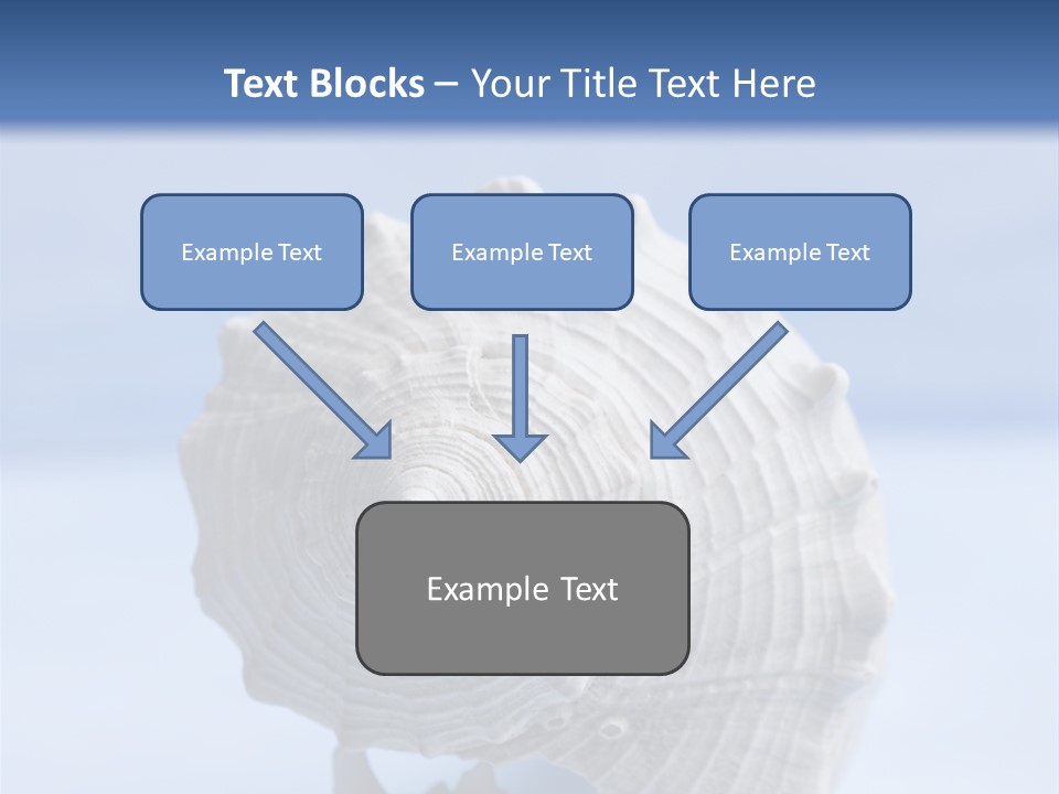 Background Backdrop Copy Space PowerPoint Template