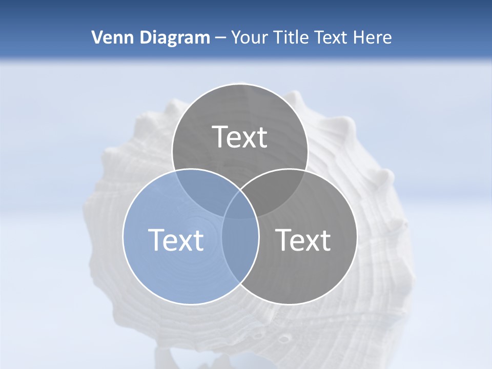 Background Backdrop Copy Space PowerPoint Template
