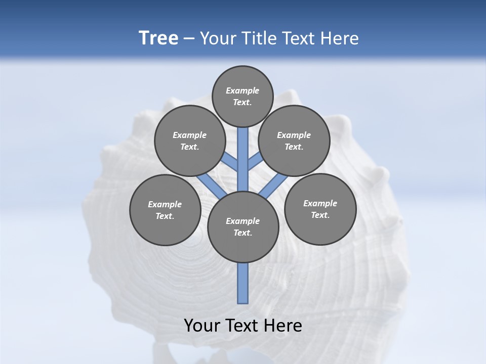 Background Backdrop Copy Space PowerPoint Template