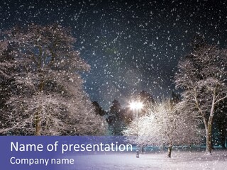 Forest Blue Christmas PowerPoint Template