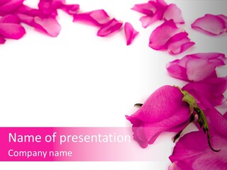 Event Valentine Dating PowerPoint Template