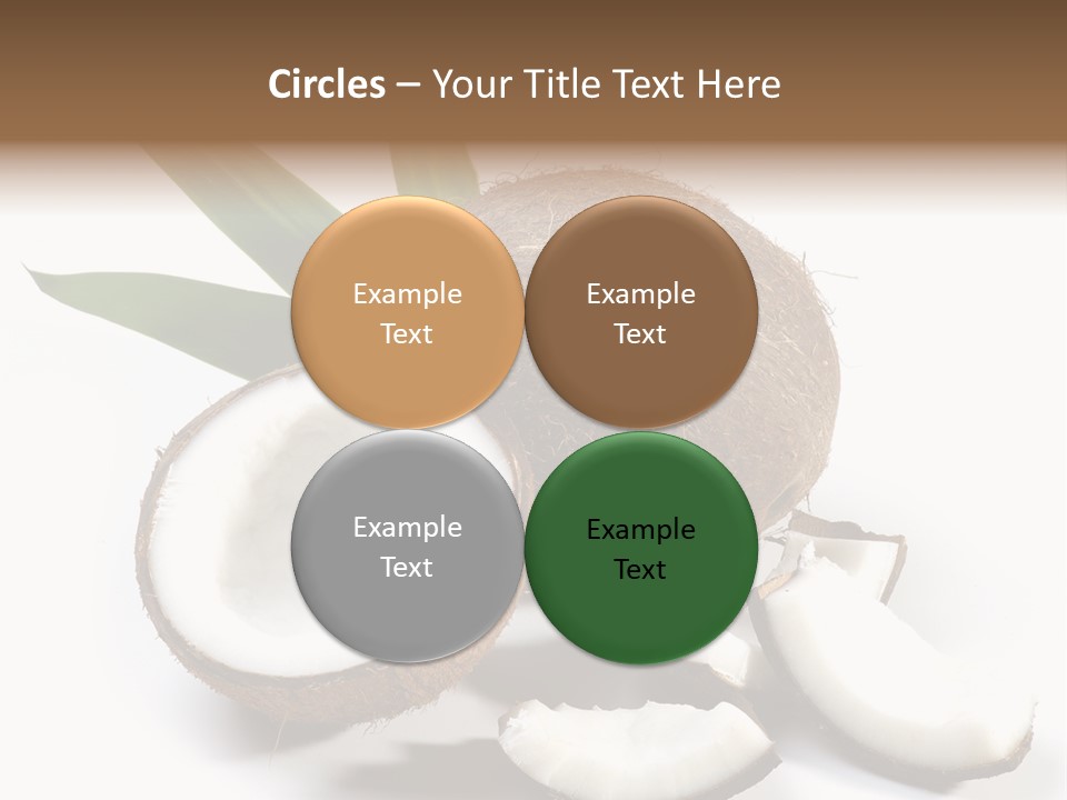 Organic Isolated Coco PowerPoint Template