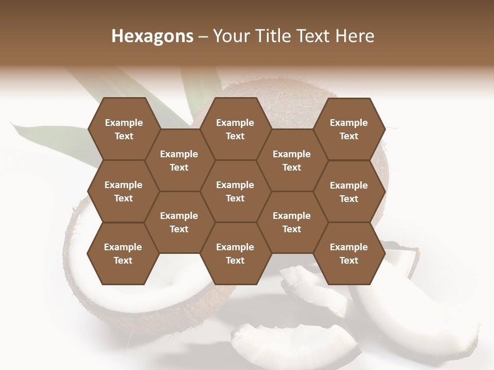 Organic Isolated Coco PowerPoint Template