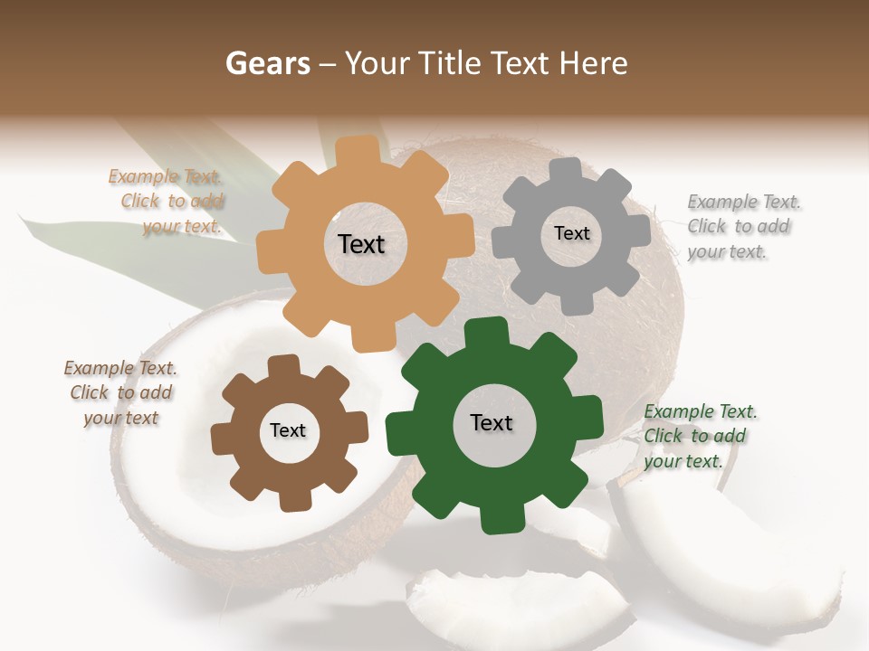 Organic Isolated Coco PowerPoint Template