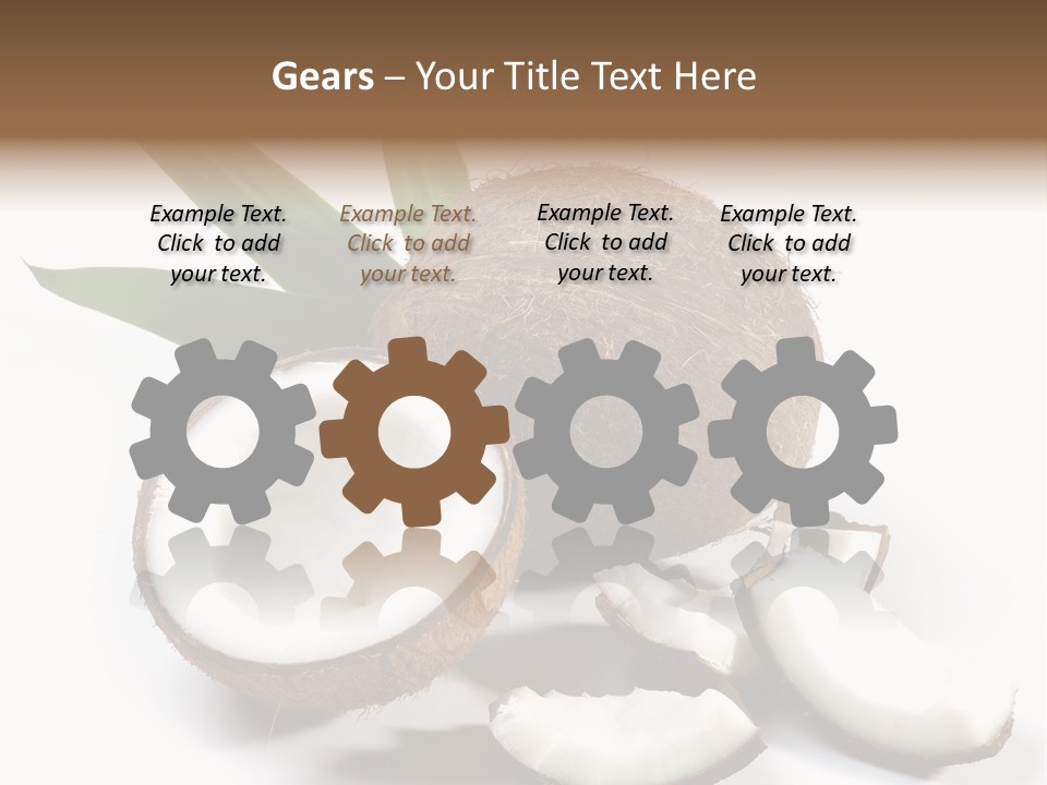 Organic Isolated Coco PowerPoint Template