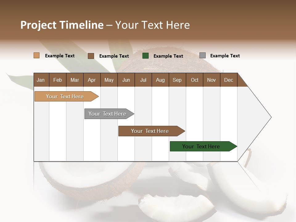 Organic Isolated Coco PowerPoint Template