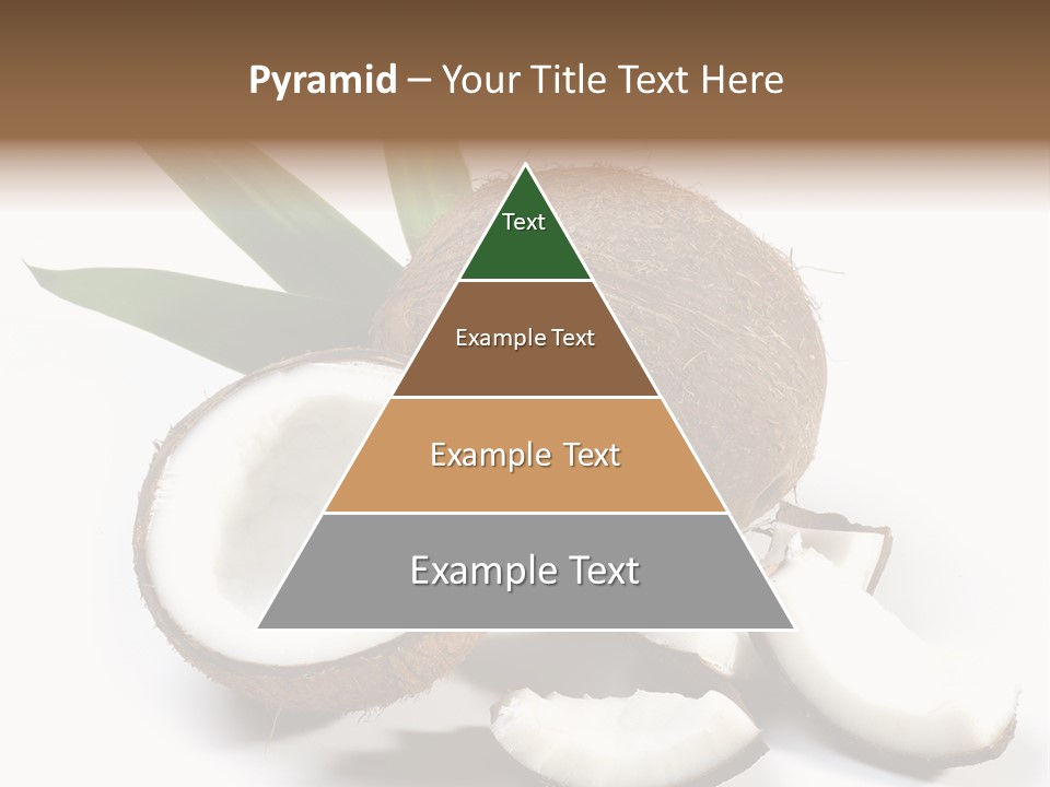 Organic Isolated Coco PowerPoint Template