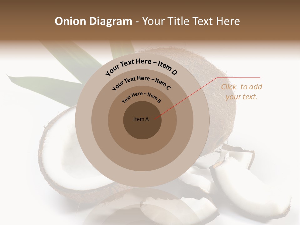 Organic Isolated Coco PowerPoint Template